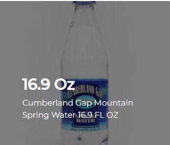 Cumberland Gap Mountain Spring Water 16.9 FL OZ