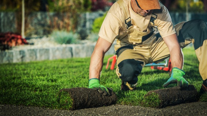 How to Get More Local Customers for Your Lawn Care Business