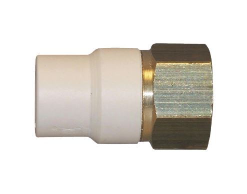 Charlotte Pipe CPVC Transition Adapter Slip x Brass (1/2)