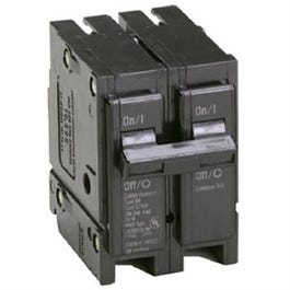 Double-Pole Interchangeable Circuit Breaker, 20A