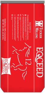 Eqceed 12