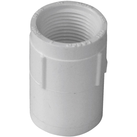 Charlotte Pipe 3/4 In. FIP Sch. 40 Threaded PVC Coupling